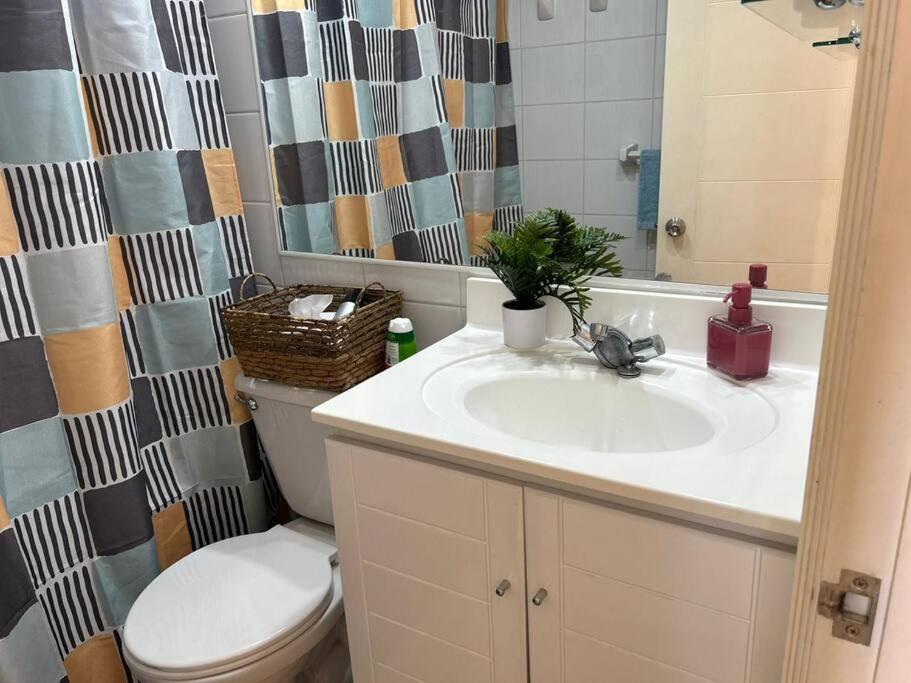 Excelente Departamento En Concon Apartamento